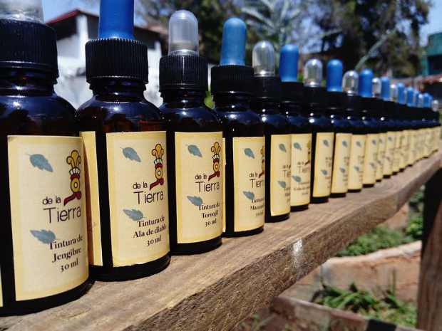 Different Kinds of&nbsp;Herbalism